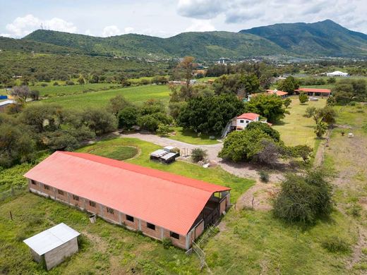 Hacienda la Jerarquia, photograph 17