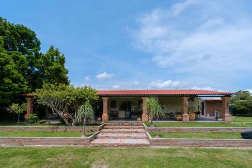 Hacienda la Jerarquia, photograph 6