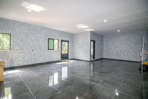 Casa Ramos, photograph 10