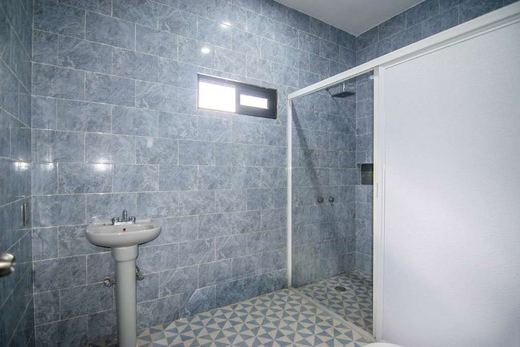 Casa Ramos, photograph 13
