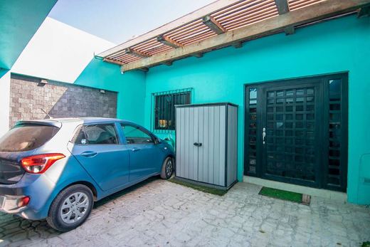 Casa Lola, photograph 14