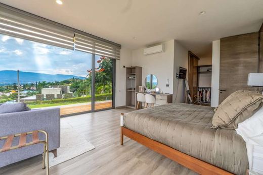 Family Luxury, photograph 11