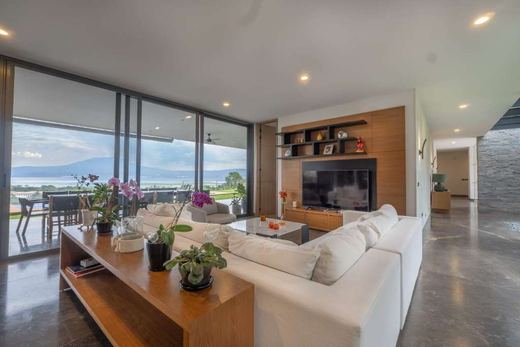 Family Luxury, photograph 4