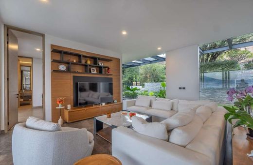 Family Luxury, photograph 8