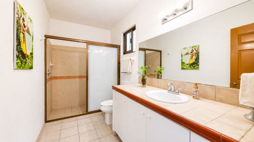 Casa Irma, photograph 15