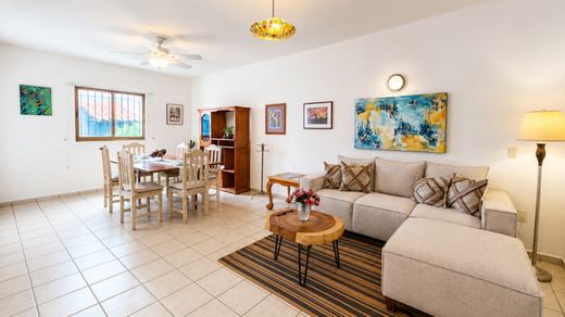 Casa Irma, photograph 8