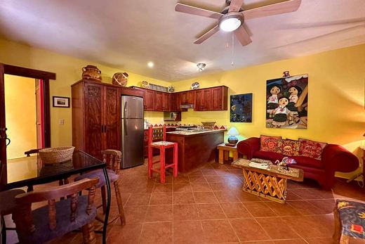 San Jose Triplex, photograph 14