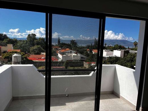 Depa Puerta Nueva, photograph 15