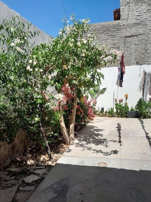 Casa Reyes, photograph 4