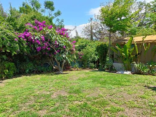 Casa PabloLa, photograph 17