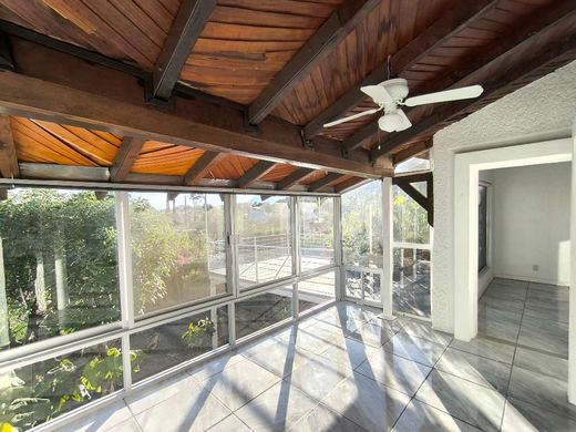 Casa PabloLa, photograph 7