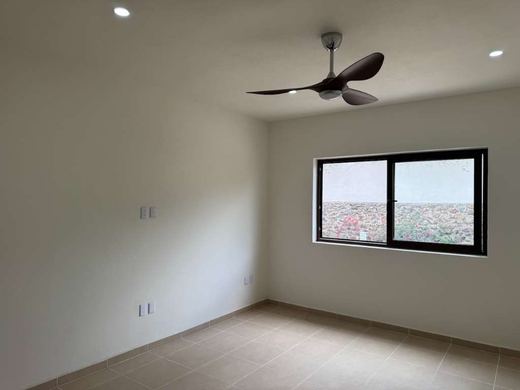 Casa Primavera 83, photograph 4