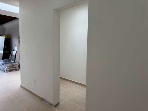 Casa Primavera 83, photograph 7