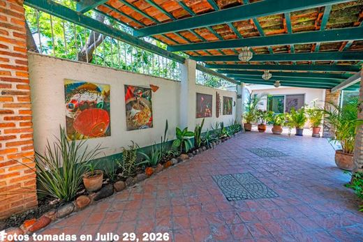 Irma'S Legacy, photograph 15
