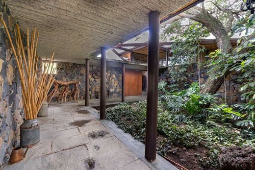 Exclusive Ranch "El divisadero", photograph 7