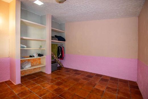 Casa de los Membrillos, photograph 6