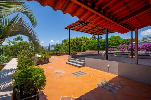 Floresta Jewel Finest, photograph 15