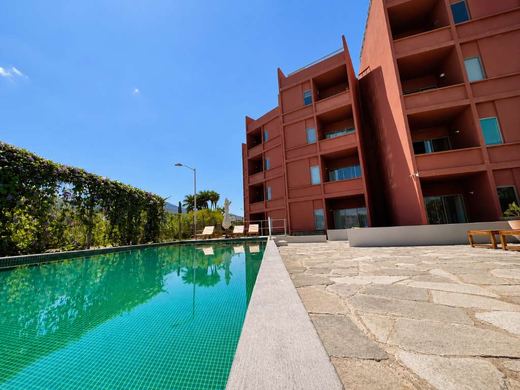 Condo Lago Luna SAN Cristobal 202, photograph 11