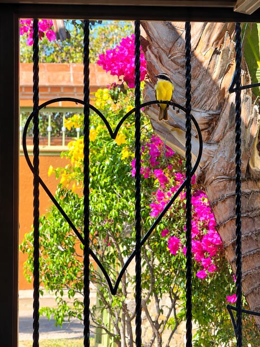 Casa Corazones, photograph 16