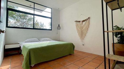 Casa Xolhé, photograph 12