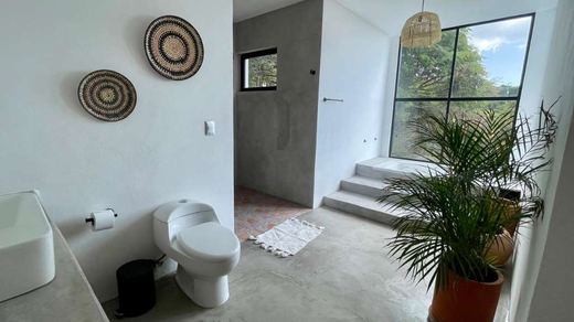 Casa Xolhé, photograph 17