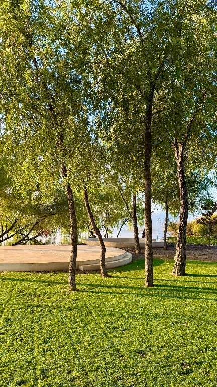 Casa Laguna Jardín 2, Lakefront, photograph 4