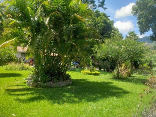 Departamento Zafiro, photograph 10