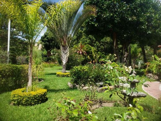 Departamento Zafiro, photograph 11