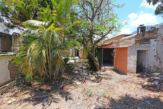 Ajijic Centro Fixer Upper, photograph 13