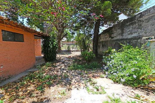 Ajijic Centro Fixer Upper, photograph 8