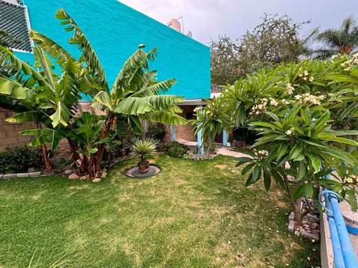 Casa Mercy, photograph 15