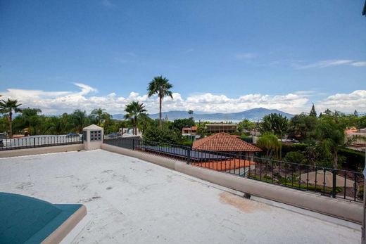 Riviera Resort, photograph 14