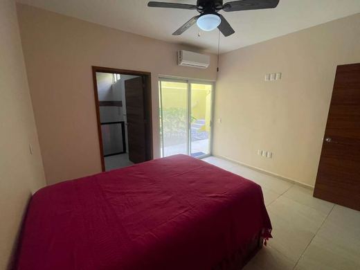 Chapala Dream, photograph 4