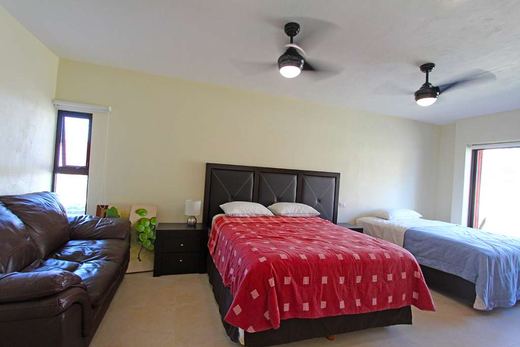 Casa Navarro, photograph 11
