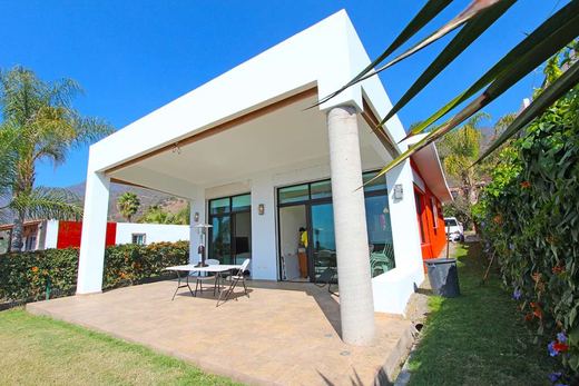 Casa Navarro, photograph 16