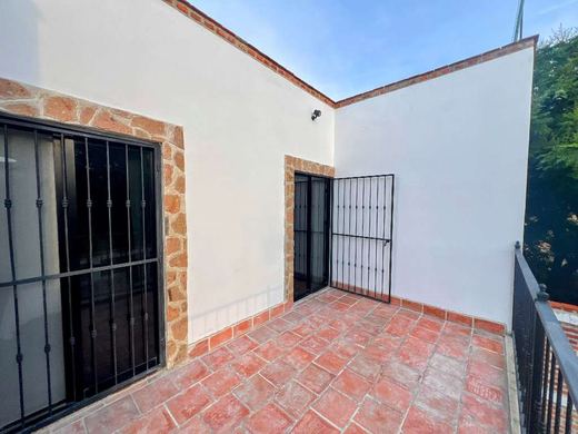 Casa Aldama, photograph 18