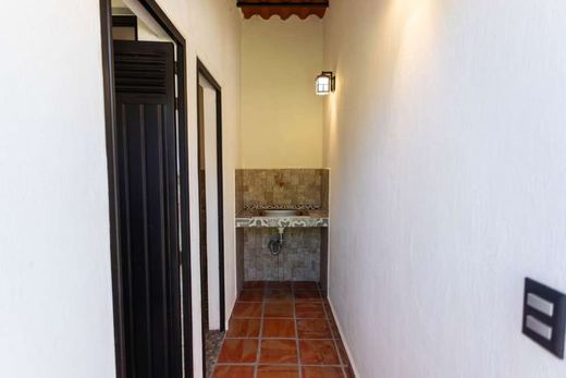 Finca EL Chante, photograph 18