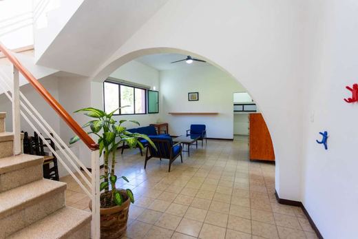 Finca EL Chante, photograph 6