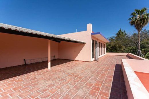 Finca EL Chante, photograph 9