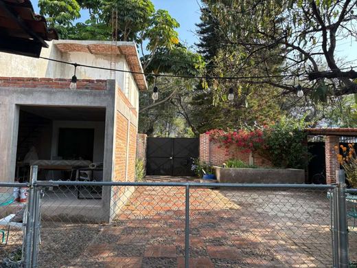 Rare La Floresta Compound, photograph 14