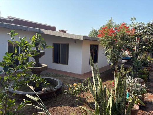 Rare La Floresta Compound, photograph 15
