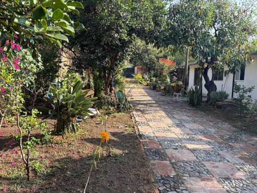 Rare La Floresta Compound, photograph 16