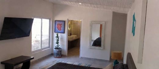 Rare La Floresta Compound, photograph 2