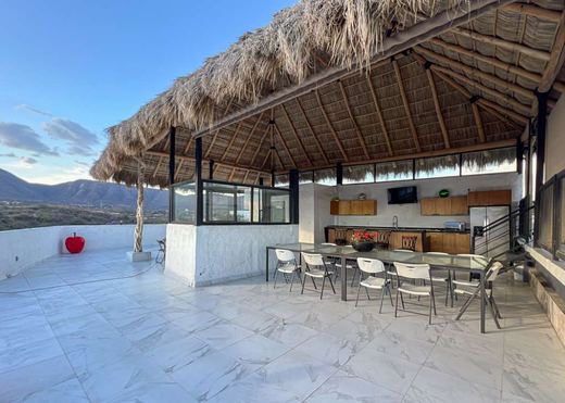 Palapa on the Hill, photograph 15