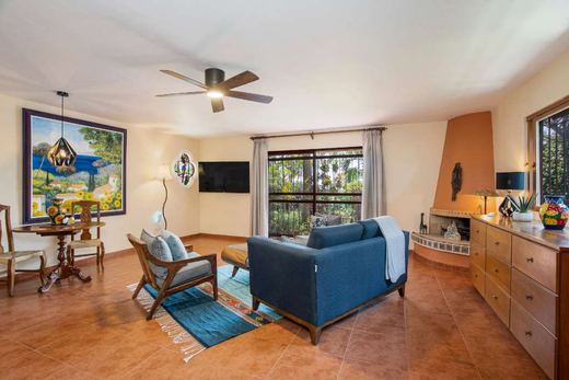 Villa La Buena Vida, photograph 7