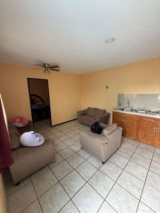 Casa Bravo, photograph 10
