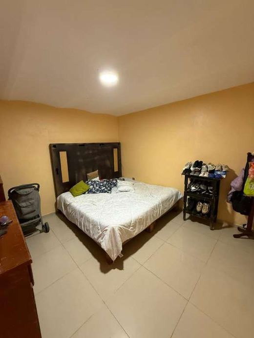 Casa Bravo, photograph 11