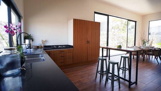 Casa Orquídea, 13 Cielos, photograph 8