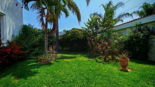 Casa Wells, photograph 18