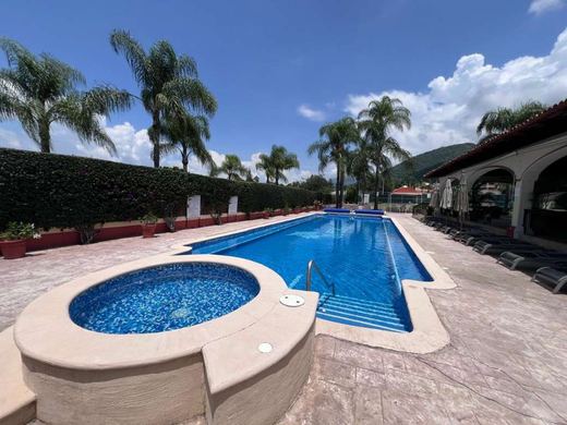 Casa de los Miller, photograph 17